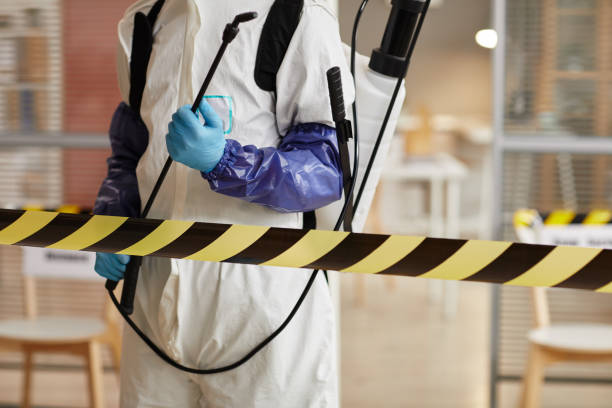 Professional Sewage Cleanup technician working in Havana, FL